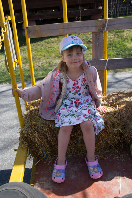 %_tempFileNameDSC_0377%